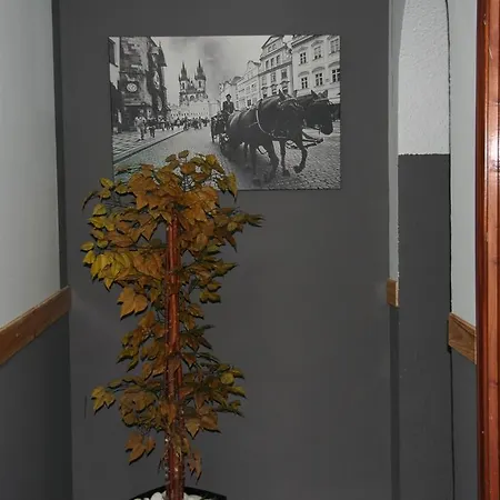 Restaurante Avenida De Madrid
