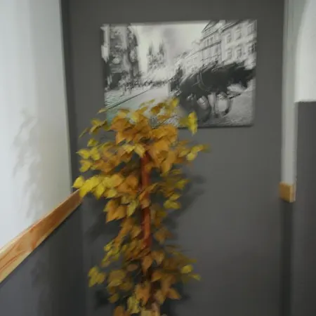 Restaurante Avenida De Madrid Guest house 2*