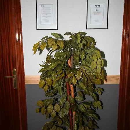 Restaurante Avenida De Madrid Guest house