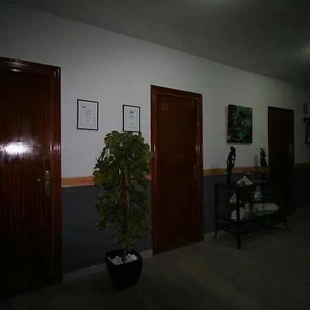 Restaurante Avenida De Madrid Guest house 2*
